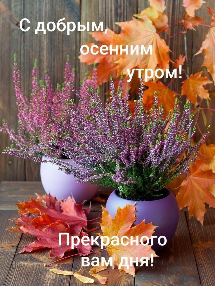   ,    . - 27  2020  00:34