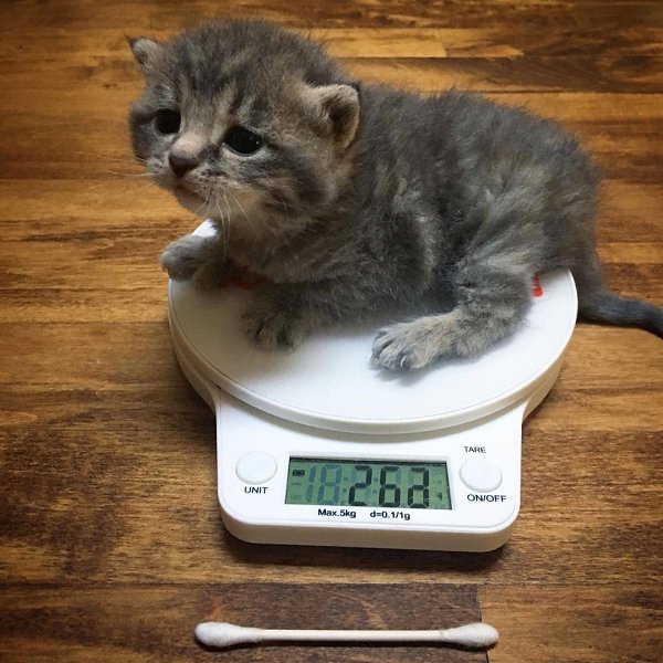 ��� ���� � ����� �� �� - 24 �������� 2020 � 18:42 - 2