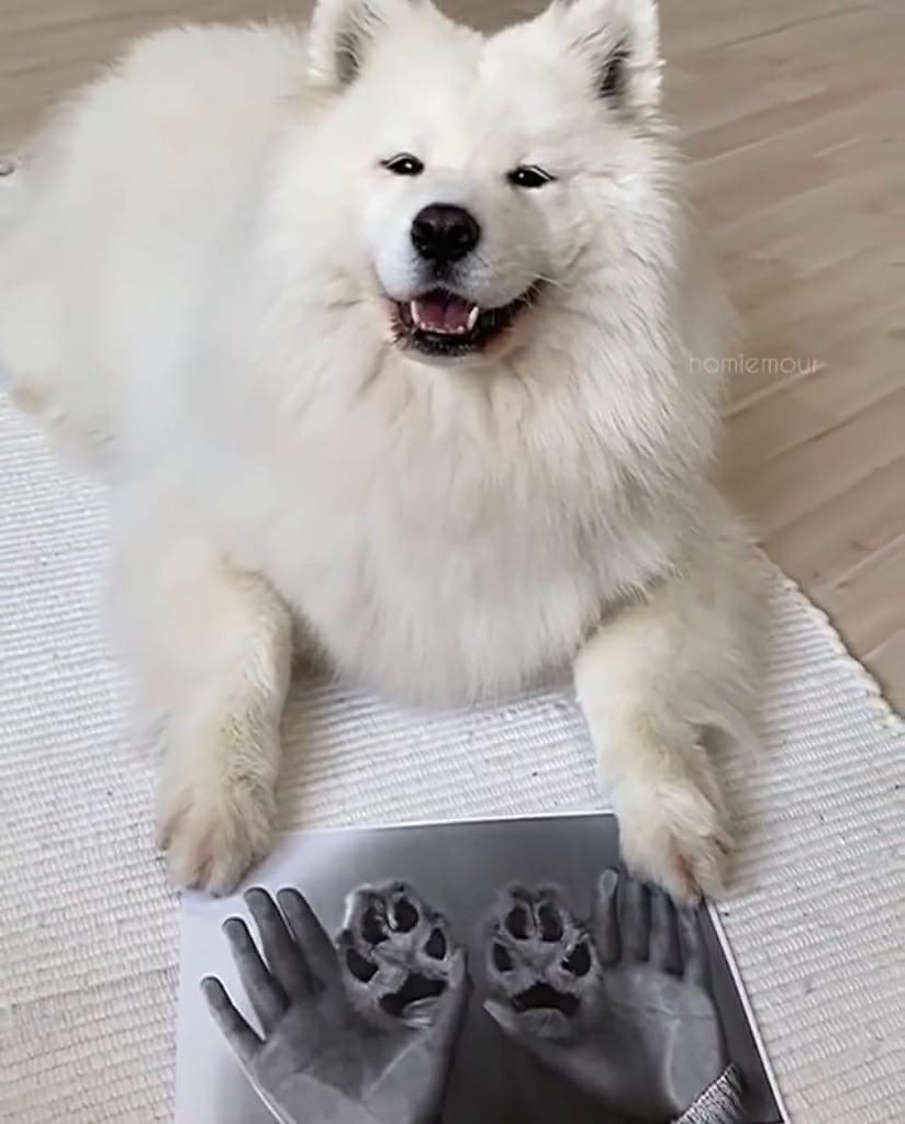  ! - 2