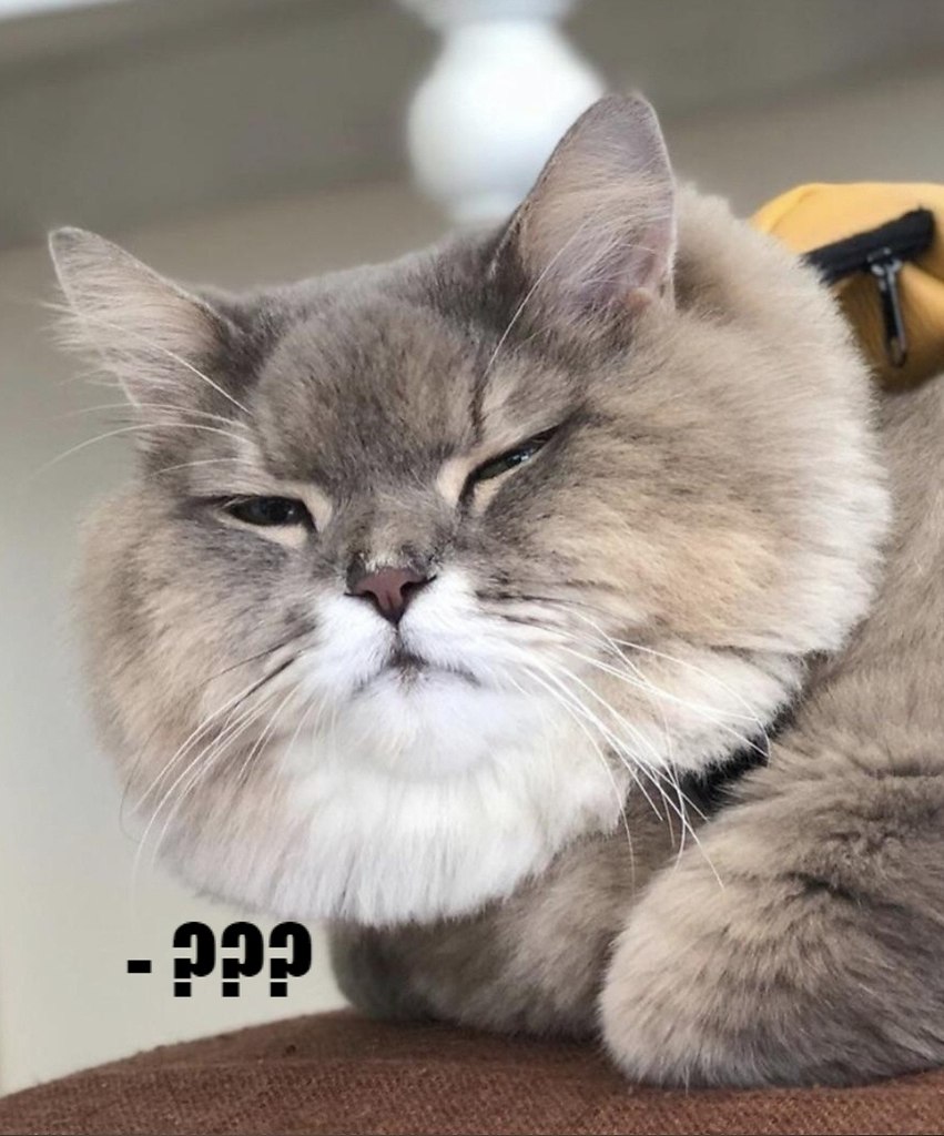       - 13  2021  21:58 - 6