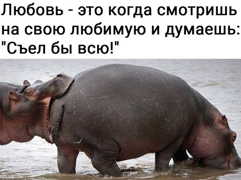 LIFE -  - 8  2020  19:08