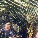 ���� ������, ������ - ��������� 4 ������� 2020 � ������ ���� ����������