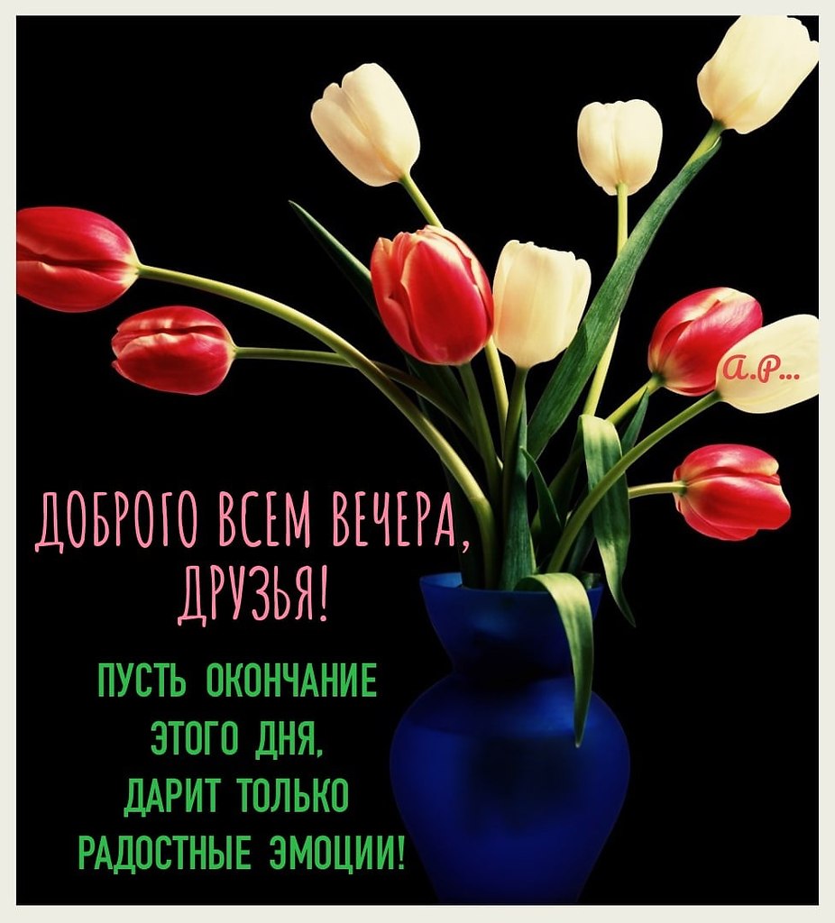   ,    . - 28  2021  18:08 - 3