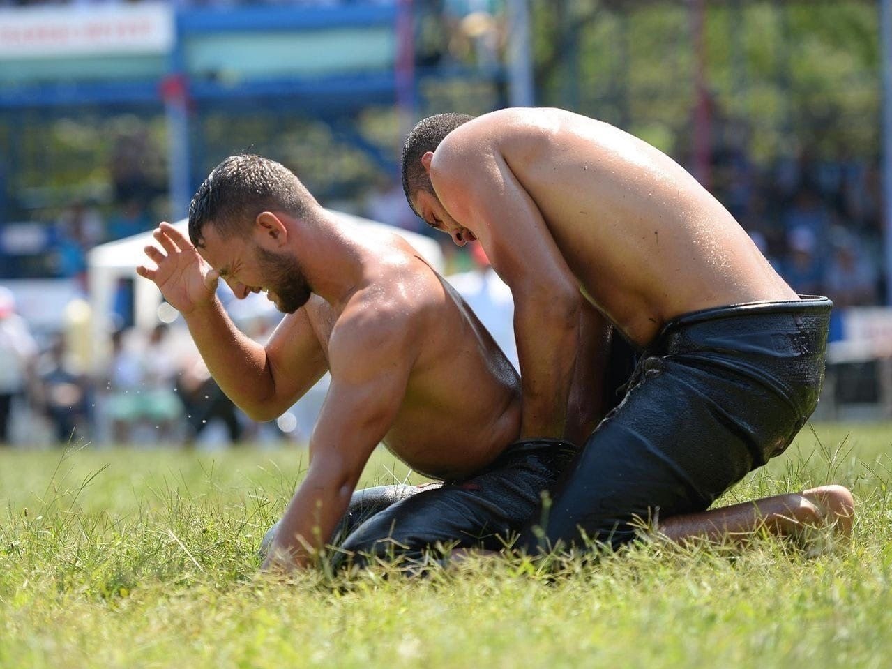 xa paa a a: yaae  aoa ype  copa.oa caopa