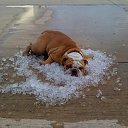 ���� ������, ������������ - ��������� 24 �������� 2020 � ������ ���� � ���