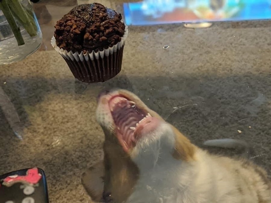   - 2