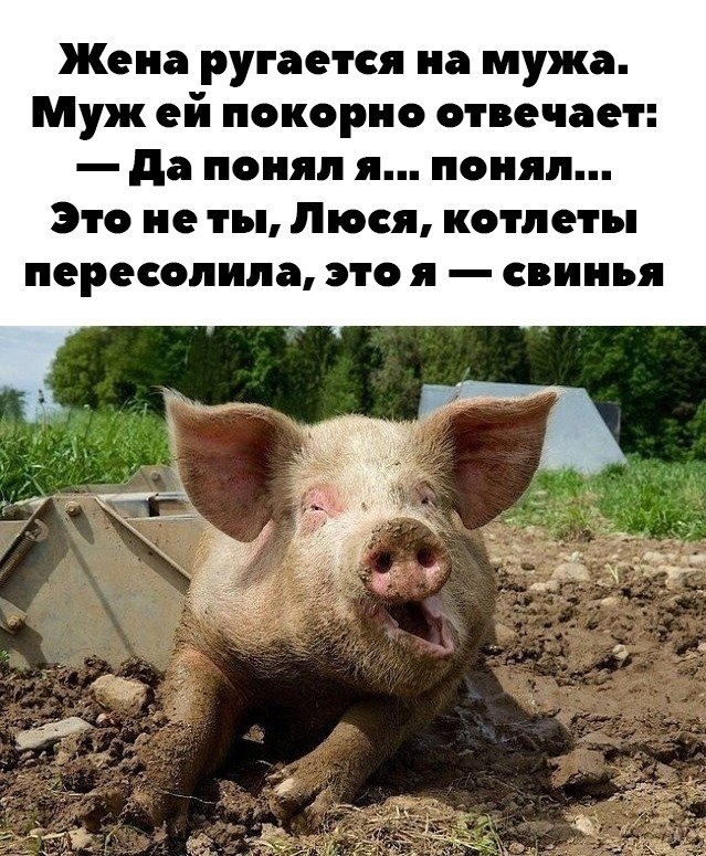     :