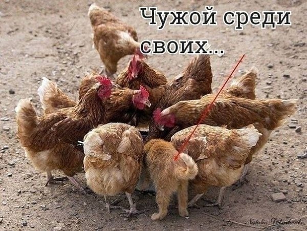 ������ ����������))).�������! ������������ ������!