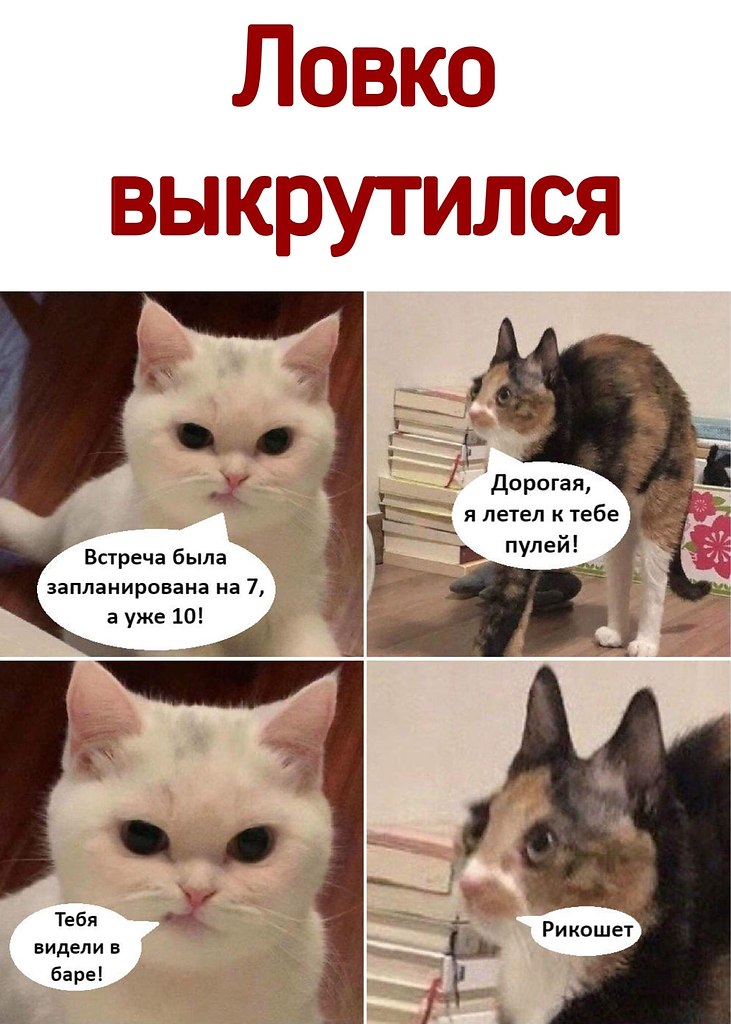  - 16  2021  15:45