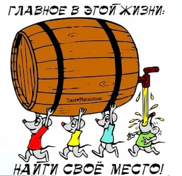   - 19  2020  00:52