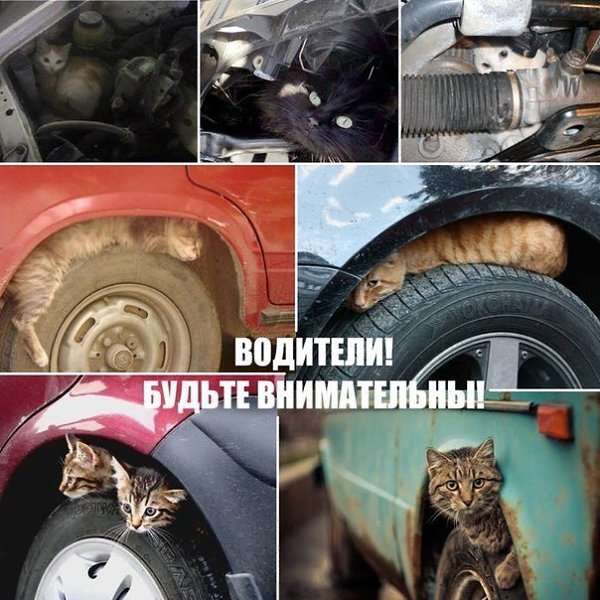 Не пожалейте 2-3 минуты вашего времени на осмотр машины перед тем, как поехать, и тогда вы, ...