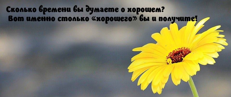   - 29  2020  00:52