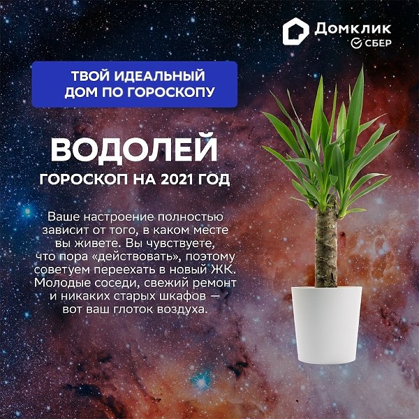 ������������, � ������� �� ��� ���������. ��� ������������ �������� �� 2021-�� ����� � �������, ��� ... - 5