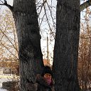 ���� �����, ���������, 60 ��� - ��������� 15 ������ 2020 � ������ ���� ����������