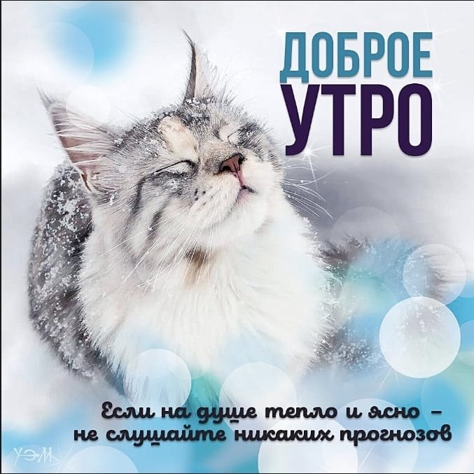 ***Victoria Viktorovna*** - 8  2021  07:58