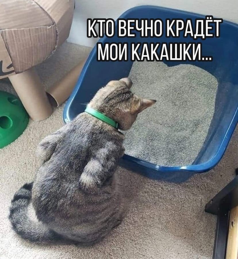  - 21  2020  18:41