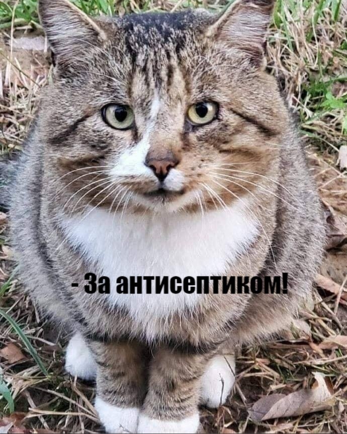       - 29  2020  18:41 - 2