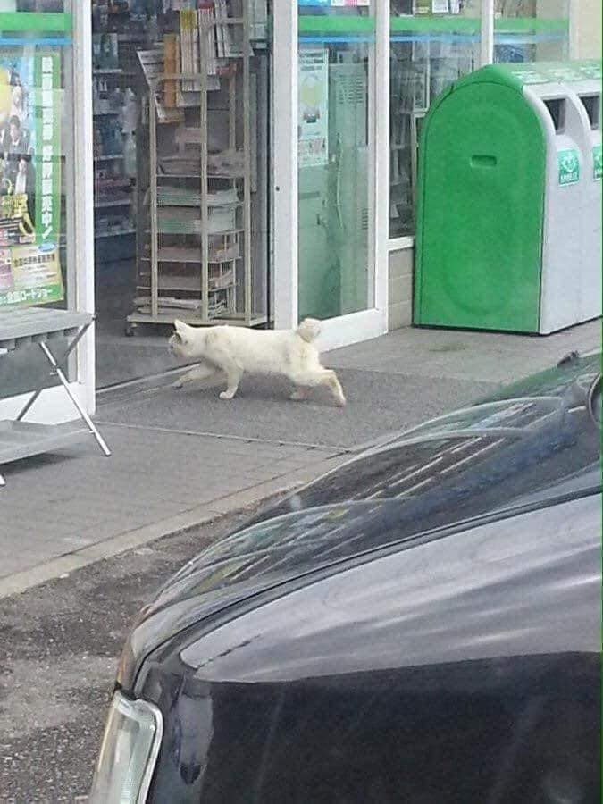   .  )))