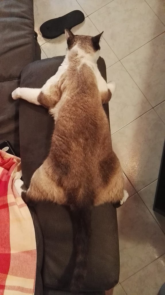 ,   ,    .    . - 3