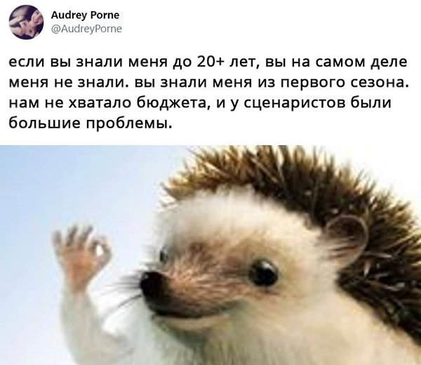Если мы признаем, что мы управляемы теми или иными программами ДНК, то смыслы - это такая же ...