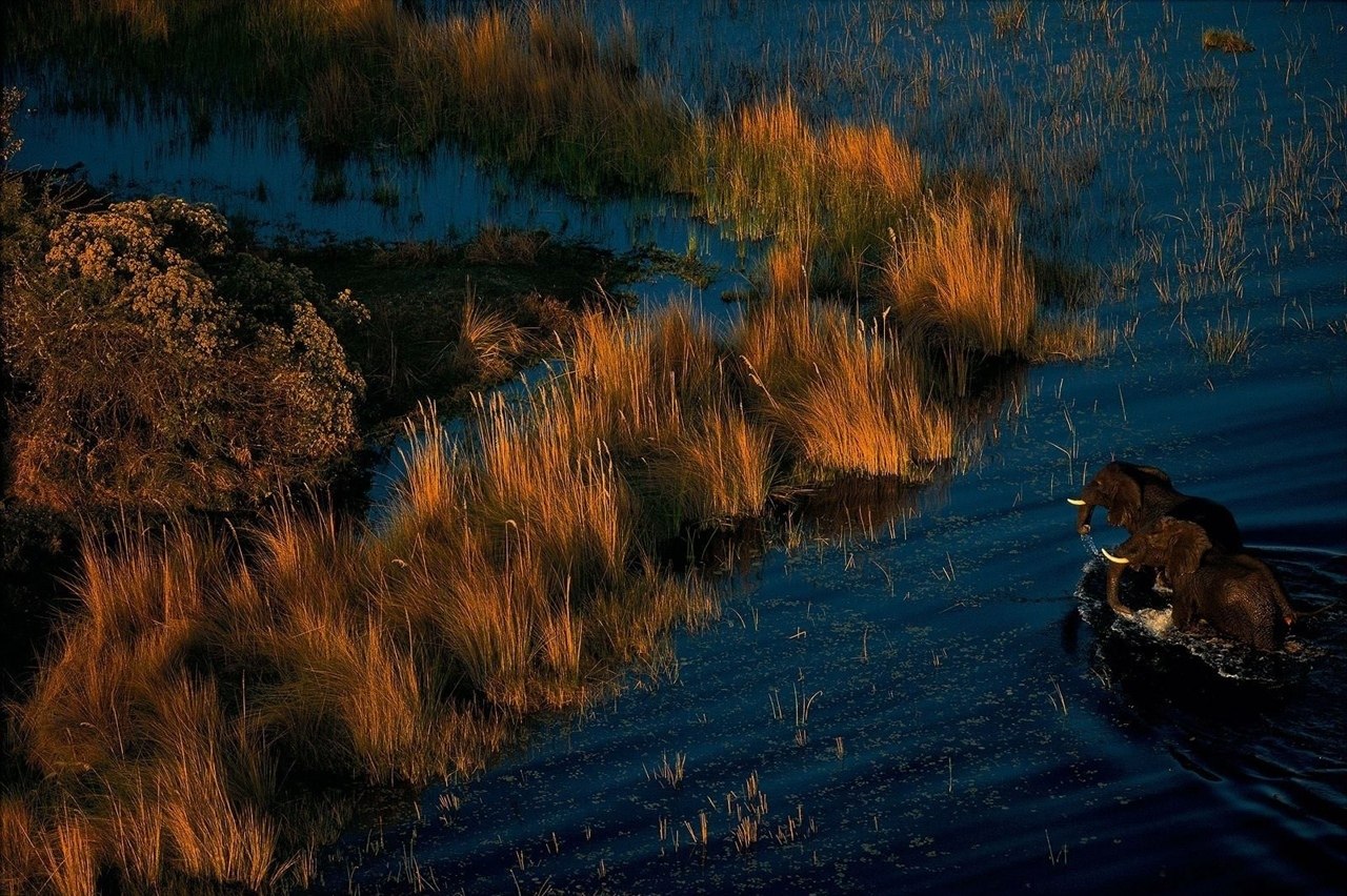 ,   . Yann Arthus-Bertrand - 5