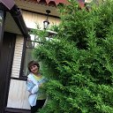 ���� ����, ������ �����, 57 ��� - ��������� 6 ������� 2020 � ������ ���� ����������