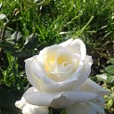 ���� Denis, �������� - ��������� 6 ������ 2020 � ������ ������ - ���� ))�