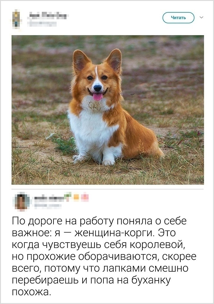   )