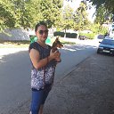 ���� ����, ���������, 48 ��� - ��������� 16 �������� 2020 � ������ ���� ����������