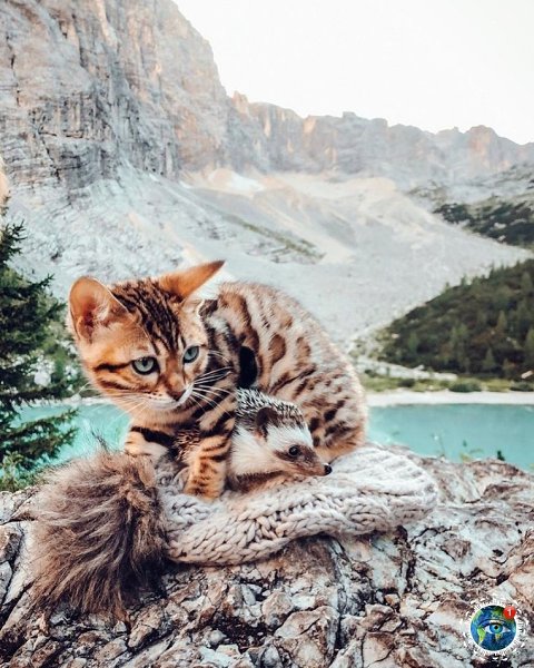 ���e �p����.������� - 4