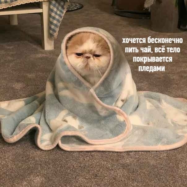  : - 2