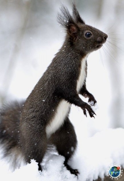 �e�o���-�paca����.������� - 4