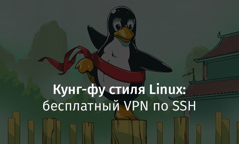 -  Linux:  VPN  SSH.      ,   ...