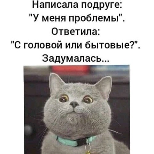   ! - 2  2021  07:58