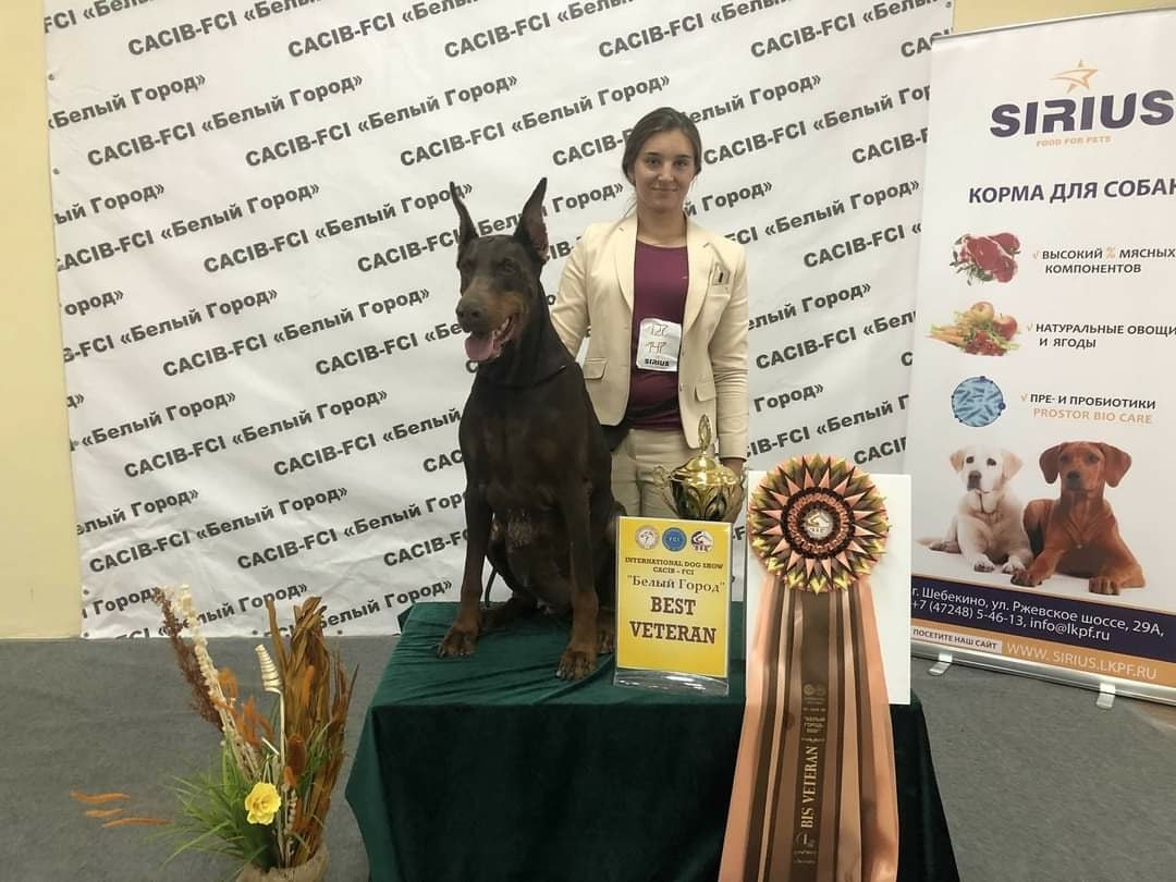 � ��� ��� �� ����������� ���������� ������� �������).04.10.20 CACIB, ��������Judge: ������� ... - 3