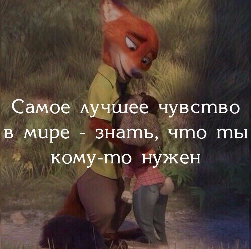 ,   .