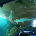 ���� ��������, ������, 47 ��� - ��������� 3 ������� 2020 � ������ ���� ����������