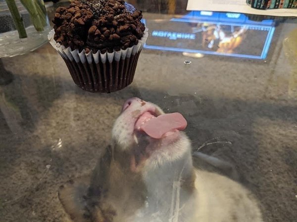   - 3