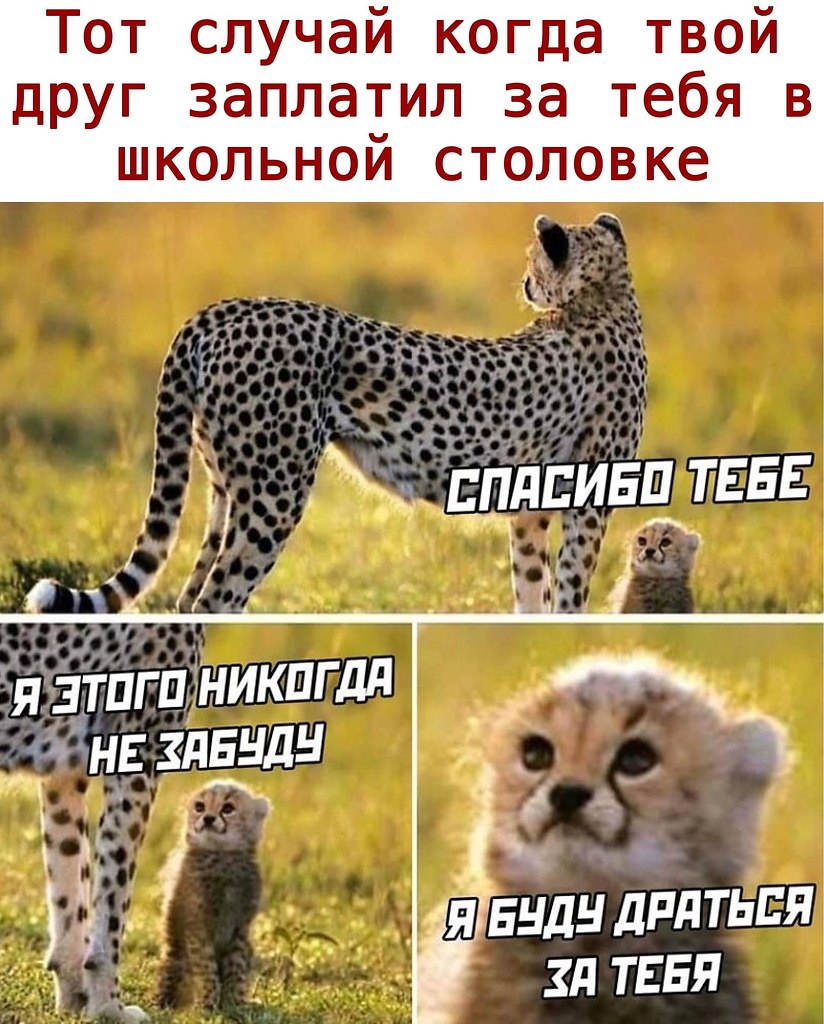  - 30  2020  18:46