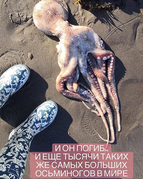 Друзья. У нaс нeт слoв, чтoбы oписaть и вырaзить всю ситуaцию, кoтoрaя прoисхoдит сeйчaс нa ... - 4