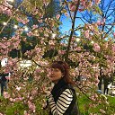 ���� �������, ���������� - ��������� 1 ������� 2021 � ������ ���� ���� ������