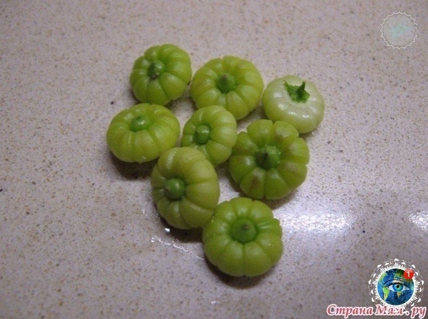 ca ao ca. o? gratplant  - 2