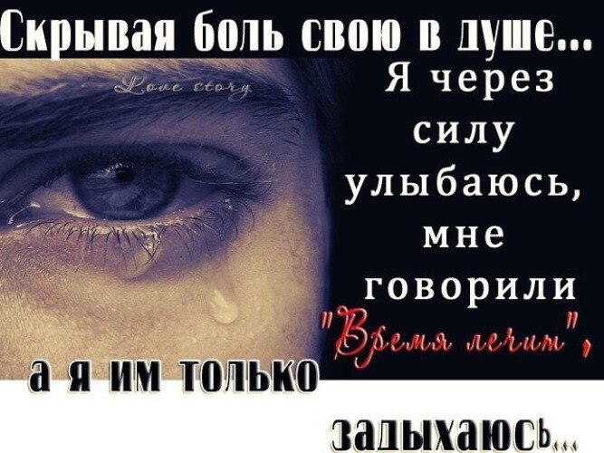  -   ,    - .    .   ...