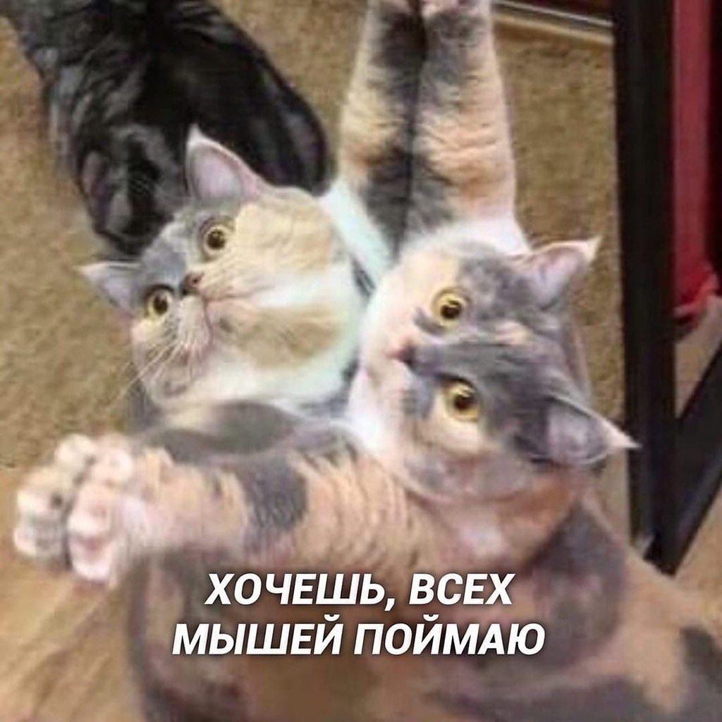    - 3
