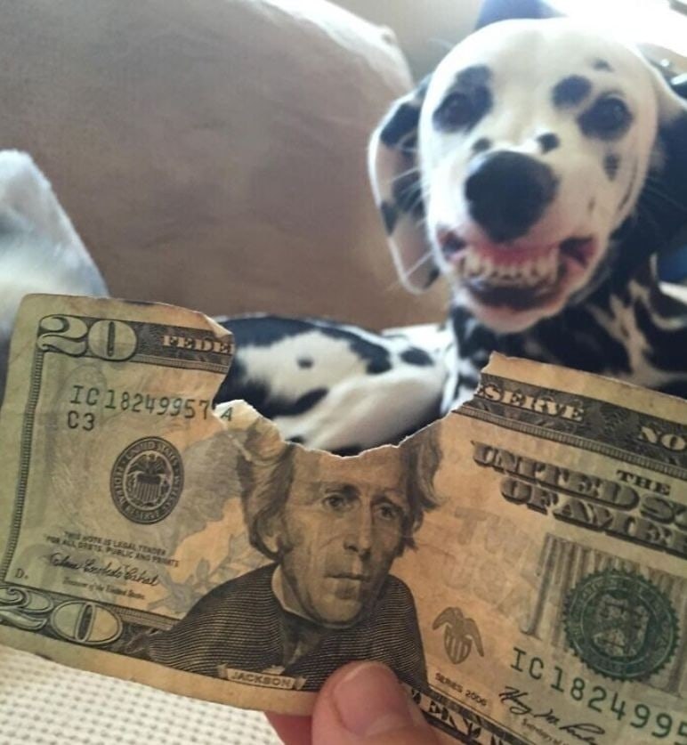          ,    ...