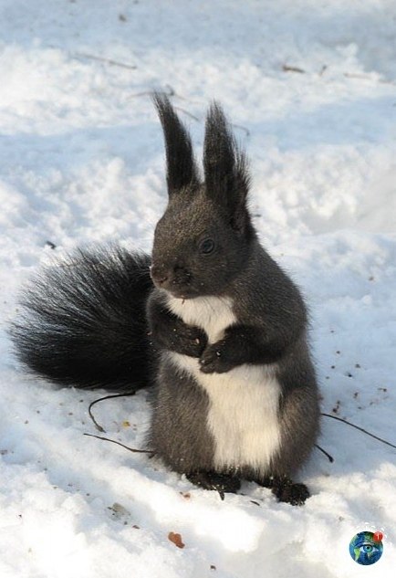 �e�o���-�paca����.������� - 6