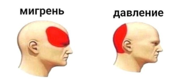 ������ : ������ ������ ������ ����