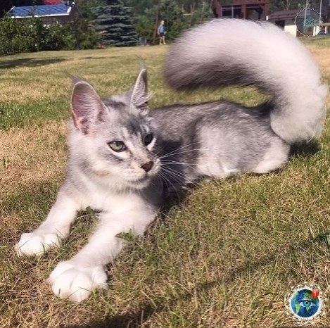 ooe? eoo? aec, o-o  peo oa co aeo.# - 3