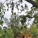 ���� �����, ����������, 51 ��� - ��������� 7 �������� 2020 � ������ ���� ����������