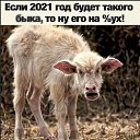  , , 55  -  15  2020    